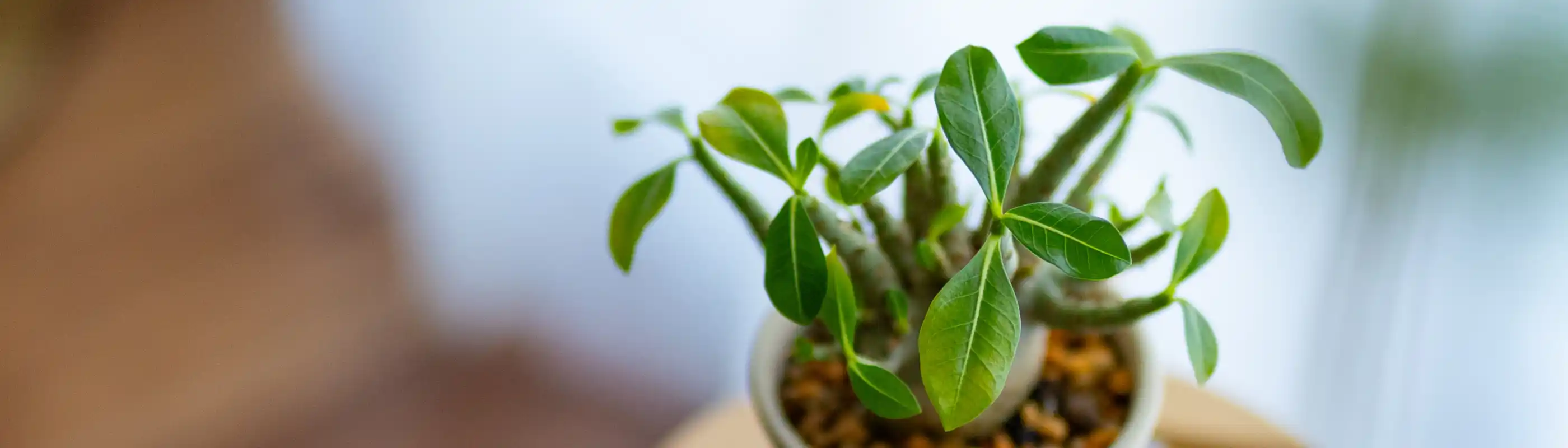 事務所 イメージ